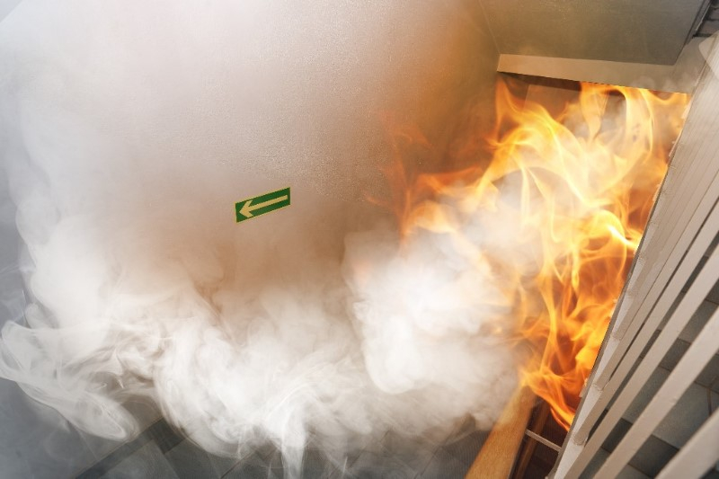 Bild aus der Newsletter-Ausgabe